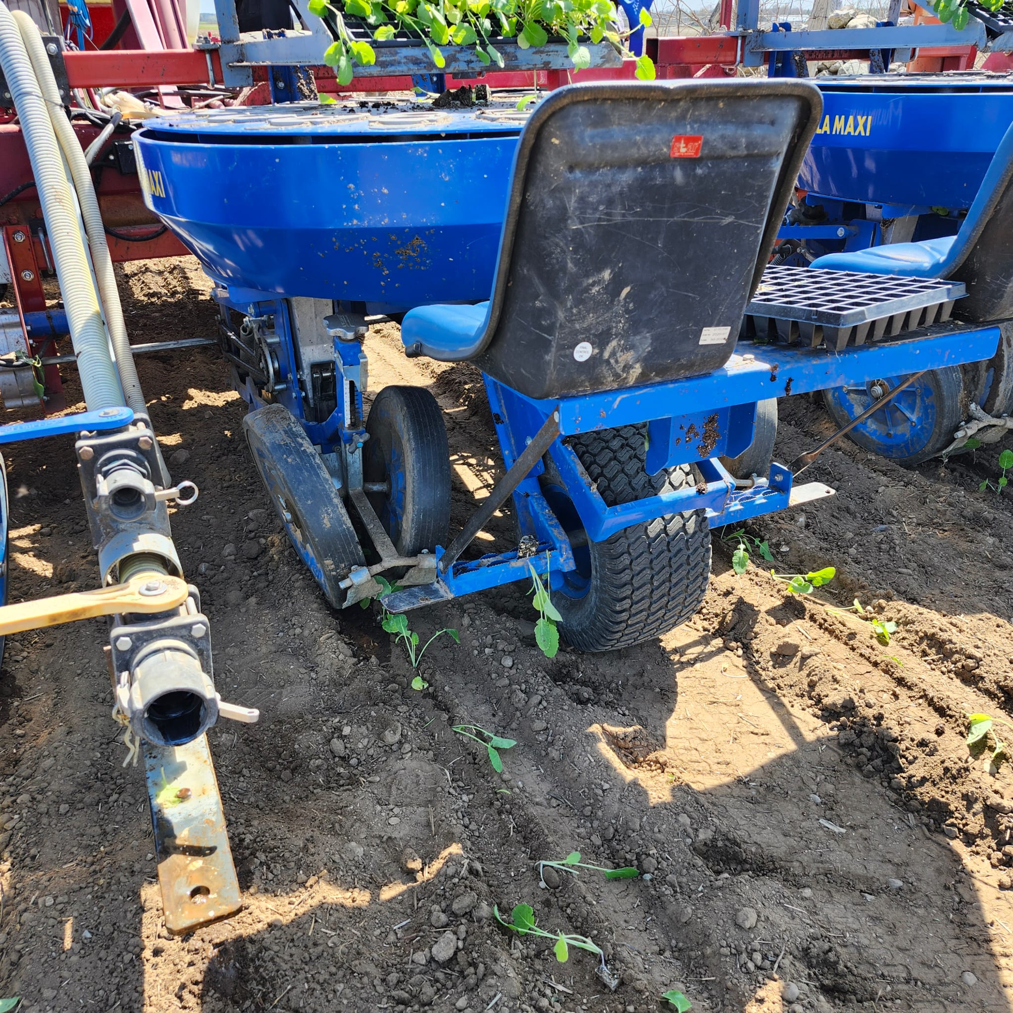 MULTIPLA Mechanical Transplanter 6 Row with Additional Seats and Tank for Fertilizer/Water - Image 2