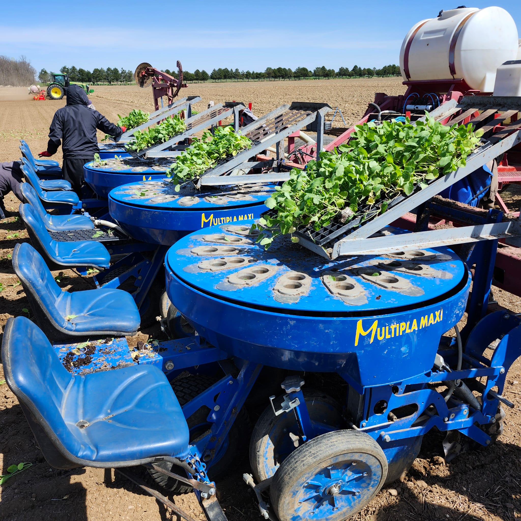 MULTIPLA Mechanical Transplanter 6 Row with Additional Seats and Tank for Fertilizer/Water